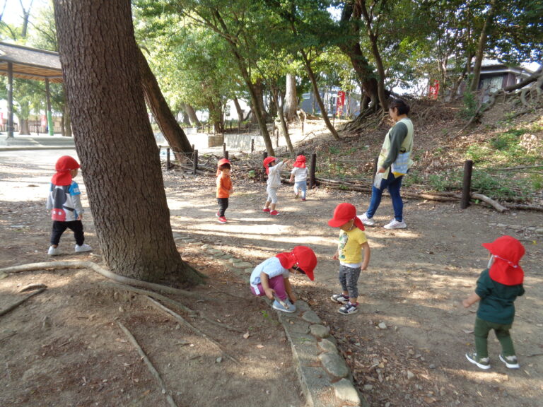 秋のたからものさがし🍂