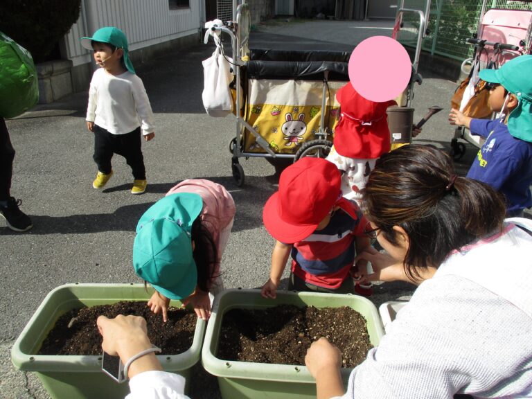 少し寂しくなった球根植え🌷（1・2歳児　あめ・だいち組）